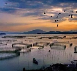 汕尾伴游中国网景点丰富(旅游网介绍)
