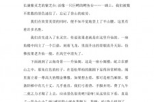 汕尾旅游感想(张家界旅游感想)