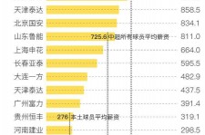 汕尾关于伴游小丽中国足球的信息