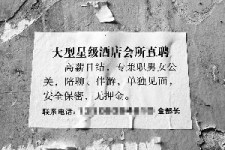 汕尾珠海伴游雇用网(珠海游览社雇用信息)