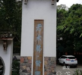 汕尾关于伴游中国伴游你们伴得是什么游的信息