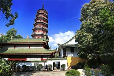 汕尾广州自由行(广州 自由行)