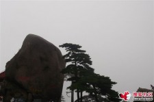 汕尾上海伴游私家陪游雇用女模(上海伴游私家陪游雇用女模特)