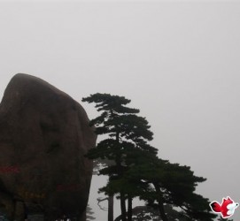 汕尾上海伴游私家陪游雇用女模(上海伴游私家陪游雇用女模特)