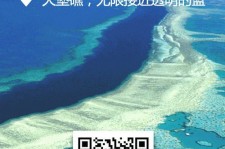 汕尾中国250家旅行社结伴游新西兰(新西兰当地旅行社)