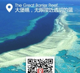 汕尾中国250家旅行社结伴游新西兰(新西兰当地旅行社)