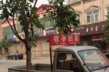 汕尾上海伴游 用伴游造句大全(5