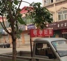 汕尾上海伴游 用伴游造句大全(5