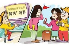 汕尾伴游是什么