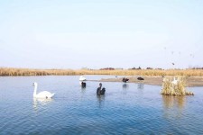 汕尾南昌附近伴游小妹兼职(1534939978姐的微信德惠市)