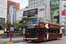 汕尾上海私人伴游 上海过年怎么玩？这些“微游”线路了解下→