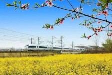 汕尾高铁游(高铁游戏下载手机版)
