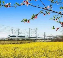 汕尾高铁游(高铁游戏下载手机版)