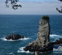 汕尾旅游全攻略(上海旅游全攻略)