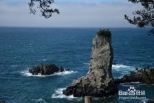 汕尾旅游全攻略(上海旅游全攻略)