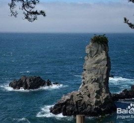 汕尾旅游全攻略(上海旅游全攻略)