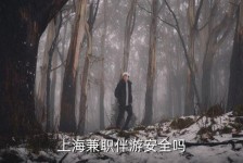 汕尾上海私人伴游 上海伴游，上海兼职伴游安全吗