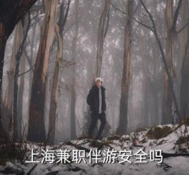 汕尾上海私人伴游 上海伴游，上海兼职伴游安全吗