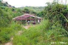 汕尾北海伴游兼职雇用信息(北海伴游兼职雇用信息大全)