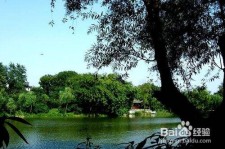 汕尾西湖旅游攻略(上海到杭州西湖旅游攻略)