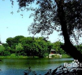 汕尾西湖旅游攻略(上海到杭州西湖旅游攻略)