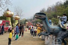 汕尾中国伴游带你打卡网红南山竹海(南山竹海网上预约)