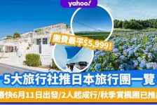 汕尾旅游价格(旅游价格机制)