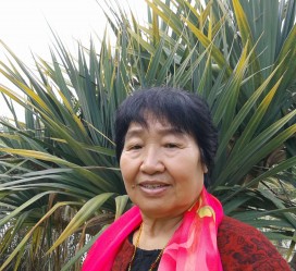 汕尾白叟带老伴游半个中国(白叟外出旅游)