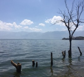 汕尾洱海旅游攻略(洱海旅游攻略自由行)