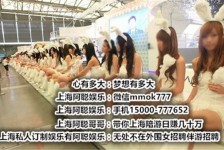 汕尾雇用旅游男伴游(北京商务酒店雇用伴游)