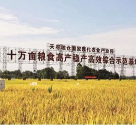 汕尾关于成都商务伴游外围雇用的信息