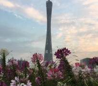 汕尾广州旅游攻略(杭州到广州旅游攻略)