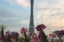 汕尾广州旅游攻略(杭州到广州旅游攻略)