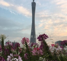 汕尾广州旅游攻略(杭州到广州旅游攻略)