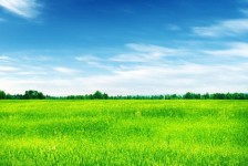 汕尾上海伴游 上海模特伴游微信号的交友宣言