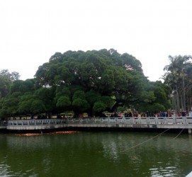汕尾福州旅游攻略(福州旅游攻略二日游)