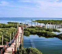 汕尾旅游哪里好玩(云南旅游哪里好玩)