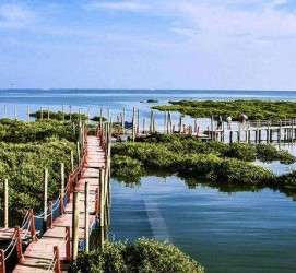 汕尾旅游哪里好玩(云南旅游哪里好玩)