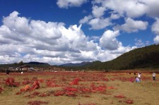 汕尾旅游去处(暑期最好的旅游去处)