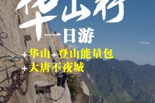 汕尾一日游(一日游需要准备些什么东西?)