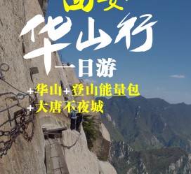 汕尾一日游(一日游需要准备些什么东西?)