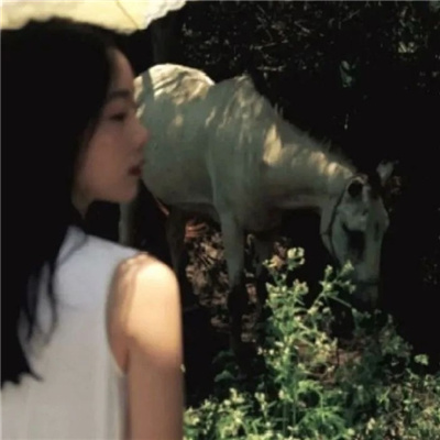 汕尾私家伴游让你拥有一次完美的旅游体验