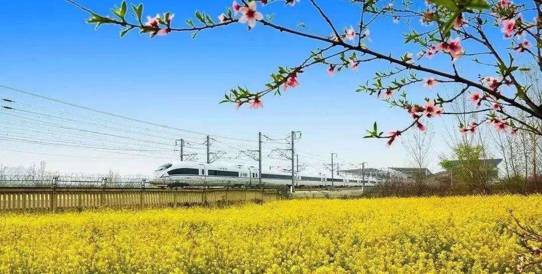高铁游(高铁游神农架攻略)